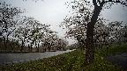 17b0-20210505161742.jpg