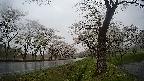 17b0-20210505165755.jpg