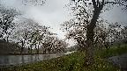 17b0-20210505172826.jpg