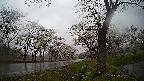 17b0-20210505173642.jpg