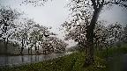 17b0-20210505180340.jpg