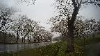 17b0-20210505181711.jpg