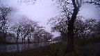 17b0-20210505184820.jpg