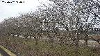 ochiai1-20250402110016.jpg