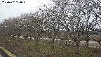 ochiai1-20250402114016.jpg