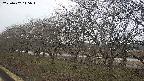 ochiai1-20250402115016.jpg