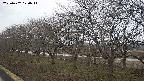 ochiai1-20250402120015.jpg