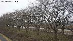 ochiai1-20250402121016.jpg