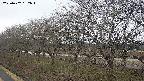 ochiai1-20250402132016.jpg