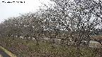 ochiai1-20250402145016.jpg