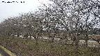 ochiai1-20250402171017.jpg