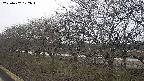 ochiai1-20250402172016.jpg