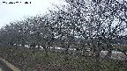 ochiai1-20250402180016.jpg