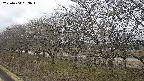 ochiai1-20250404093015.jpg