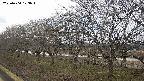 ochiai1-20250404103016.jpg