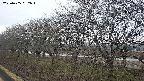 ochiai1-20250405052017.jpg