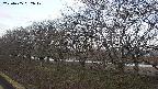 ochiai1-20250405062018.jpg