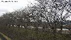 ochiai1-20250405111017.jpg