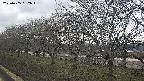 ochiai1-20250405152017.jpg