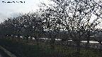 ochiai1-20250405172017.jpg