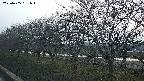 ochiai1-20250405181018.jpg