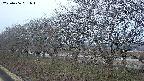 ochiai1-20250406051017.jpg