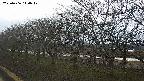 ochiai1-20250406140018.jpg