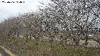 ochiai1-20250406144020.jpg