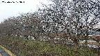 ochiai1-20250406173019.jpg