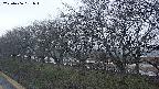 ochiai1-20250406181017.jpg
