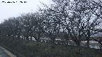 ochiai1-20250406182015.jpg