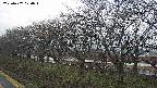 ochiai1-20250407070017.jpg