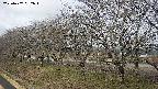 ochiai1-20250407082017.jpg