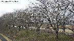 ochiai1-20250407102016.jpg