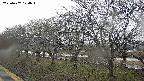 ochiai1-20250407124016.jpg