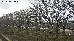 ochiai1-20250407132017.jpg