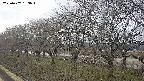 ochiai1-20250407133017.jpg