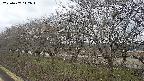 ochiai1-20250407142017.jpg