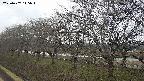 ochiai1-20250407145016.jpg