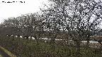 ochiai1-20250407162016.jpg