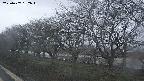 ochiai1-20250407182019.jpg