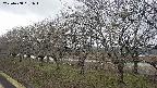ochiai1-20250408091017.jpg