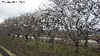 ochiai1-20250408092014.jpg