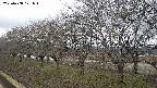 ochiai1-20250408101016.jpg