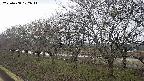 ochiai1-20250408102015.jpg
