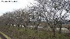 ochiai1-20250408104016.jpg