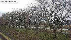 ochiai1-20250408105016.jpg