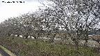 ochiai1-20250408113017.jpg