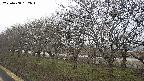 ochiai1-20250408132017.jpg
