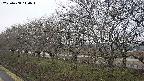 ochiai1-20250408140017.jpg